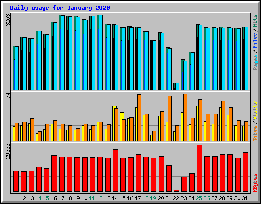 Daily usage for January 2020