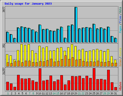 Daily usage for January 2023