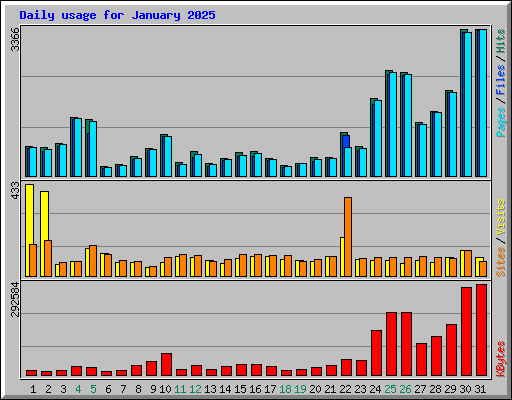Daily usage for January 2025