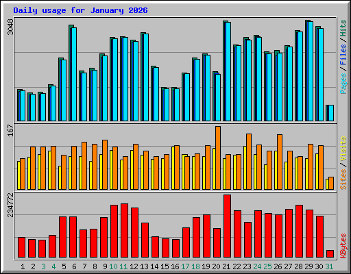 Daily usage for January 2026