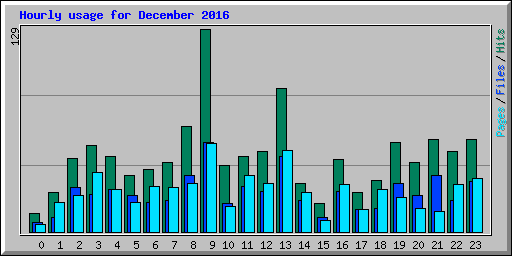 Hourly usage for December 2016