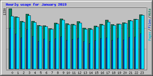 Hourly usage for January 2019