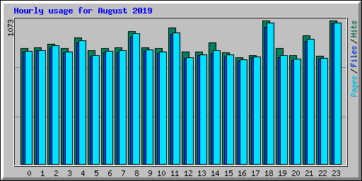 Hourly usage for August 2019