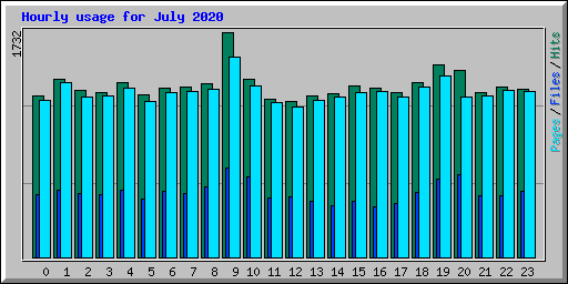 Hourly usage for July 2020