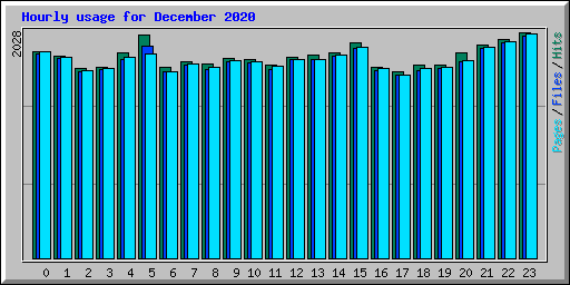 Hourly usage for December 2020