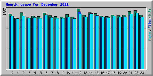 Hourly usage for December 2021