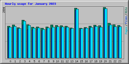 Hourly usage for January 2023