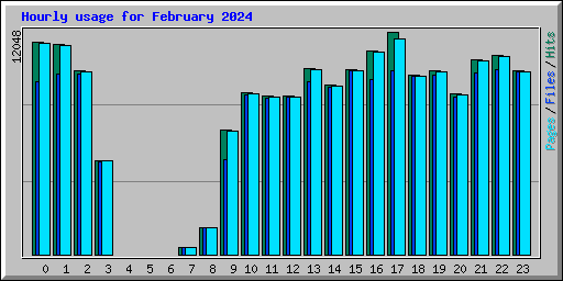 Hourly usage for February 2024