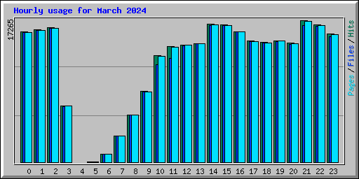 Hourly usage for March 2024