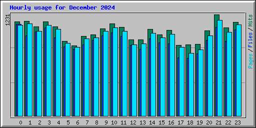 Hourly usage for December 2024
