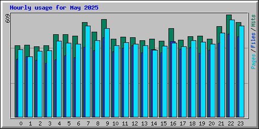 Hourly usage for May 2025