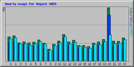 Hourly usage for August 2025