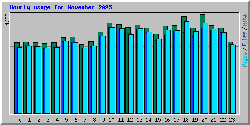 Hourly usage for November 2025