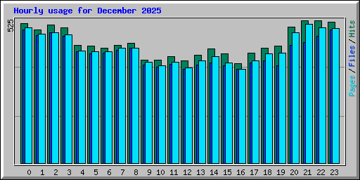Hourly usage for December 2025