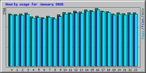 Hourly usage for January 2026